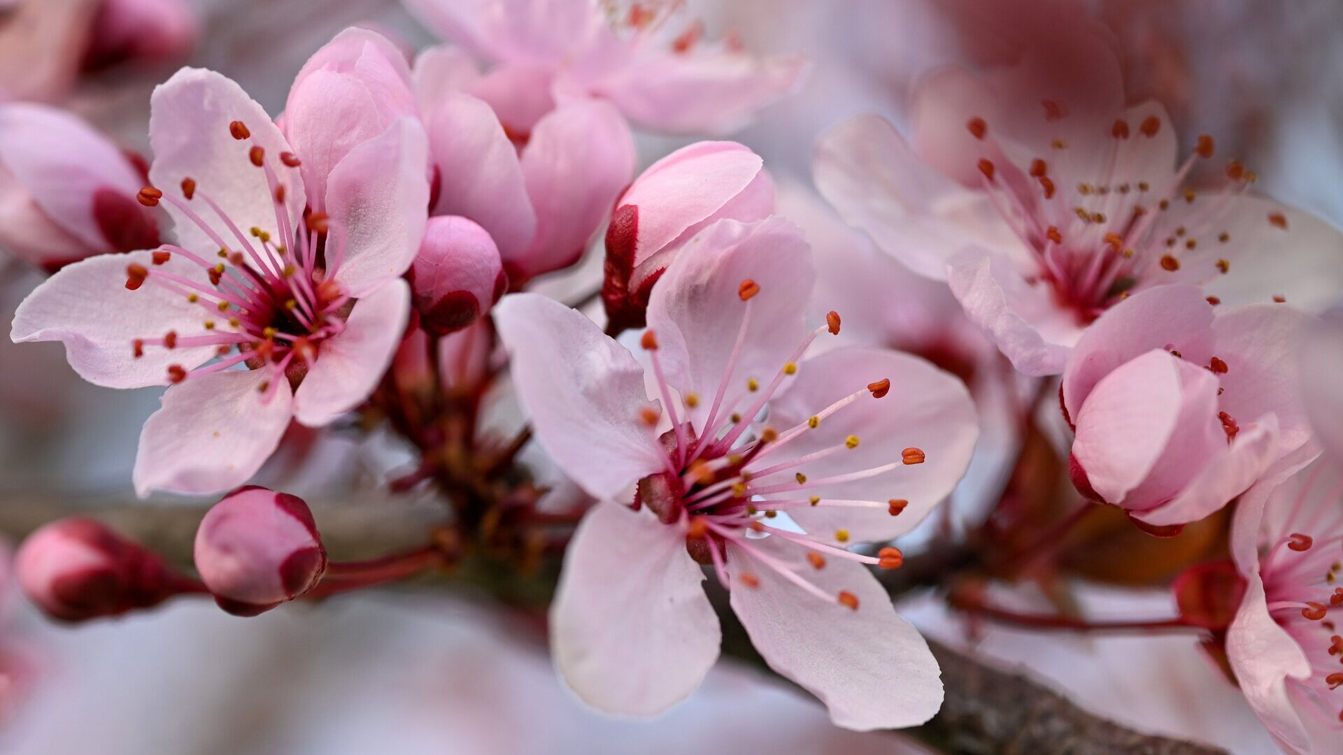 Featured image of post Hello world!