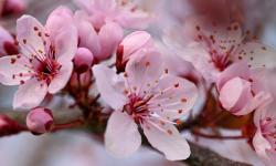 Featured image of post Hello world!