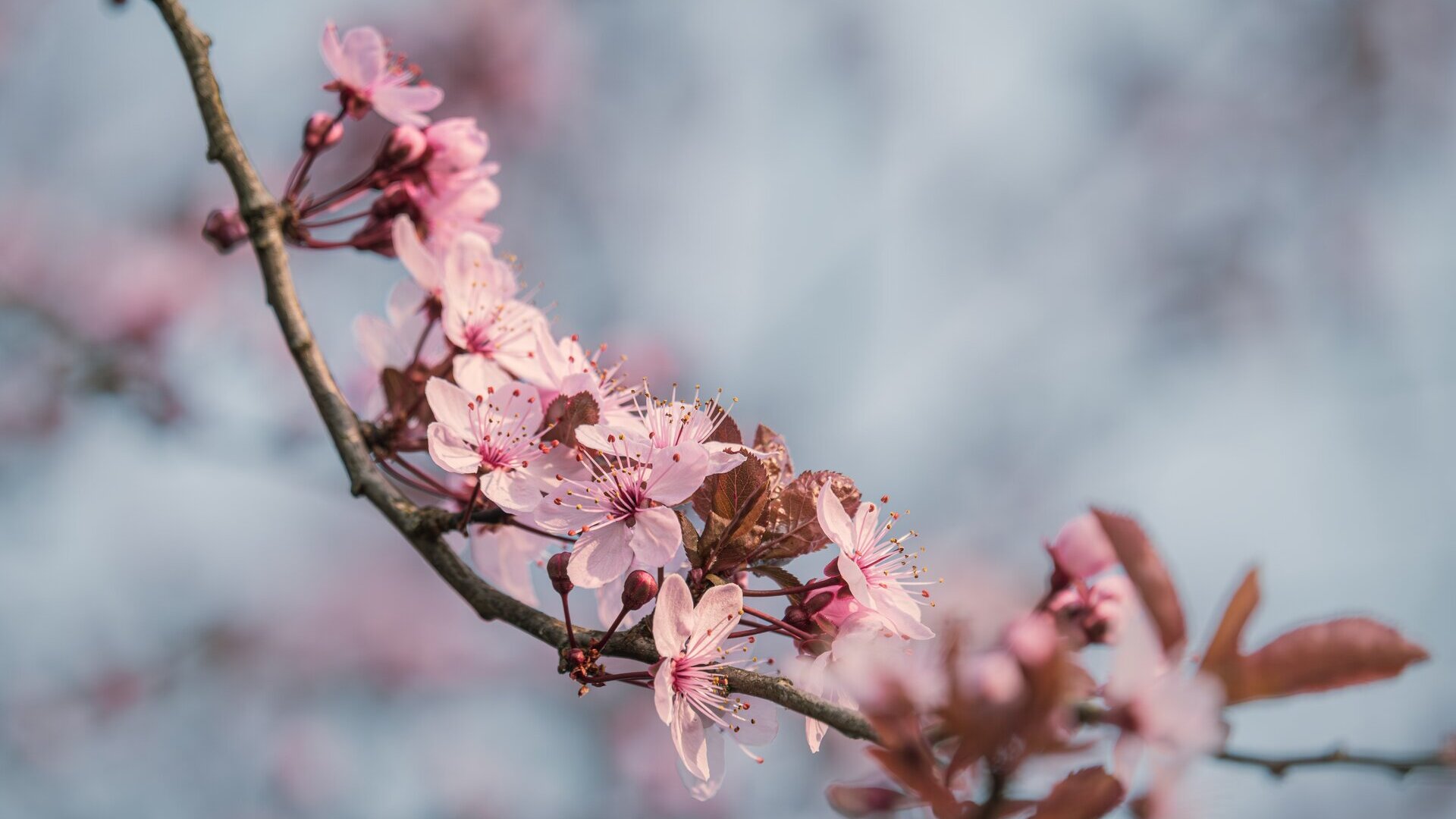 Featured image of post What?